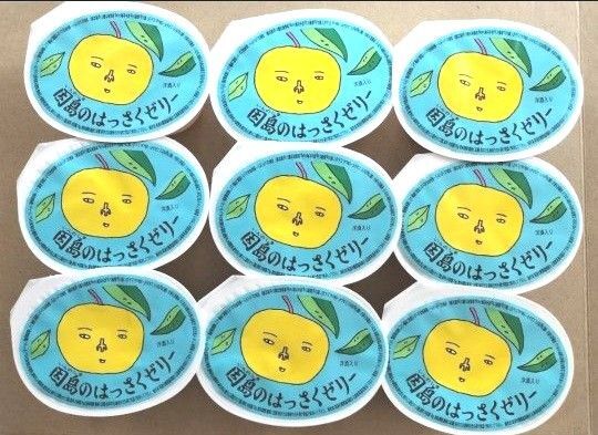 ◆ 因島 はっさくゼリー9個入 ◆値引き交渉不可●即日発送OK