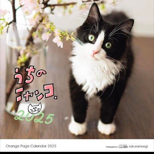 うちのニャンコ。壁掛け カレンダー 2025 オレンジページ
