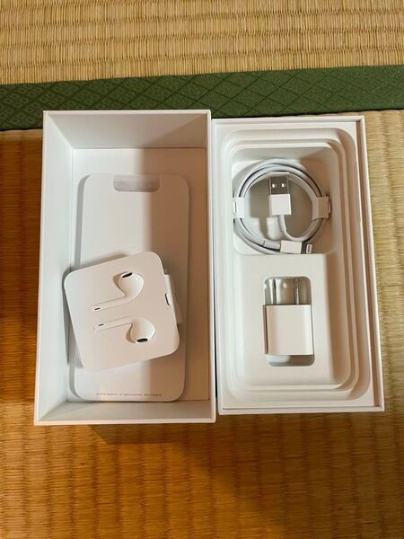 Apple iPhone イヤホン ケーブル ACアダプター