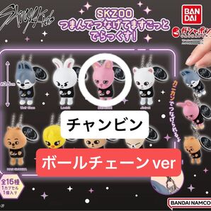 Stray Kids SKZOO ボールチェーン つまんでつなげてますこっと でらっくす! チャンビン トゥエッキ つまつな