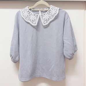 COLZA 5部袖トップス レース襟 レディーストップス ブルー オフィスカジュアル カットソー レース