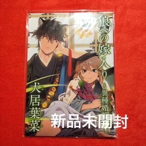 BL 犬居葉菜 狼への嫁入り 異種婚姻譚 onBLUE 10周年記念小冊子 新品