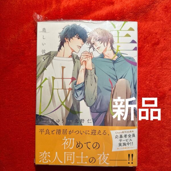 北野仁 凪良ゆう 美しい彼 5巻 BLコミック 新品 未読品