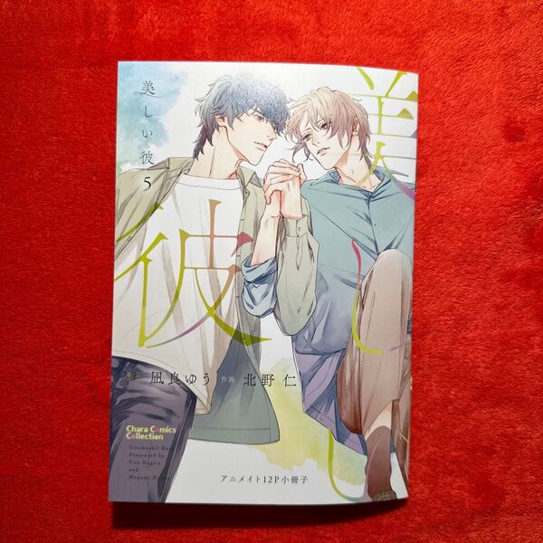 凪良ゆう 北野仁 美しい彼 5巻 アニメイト限定 有償特典 描き下ろし小冊子 BL