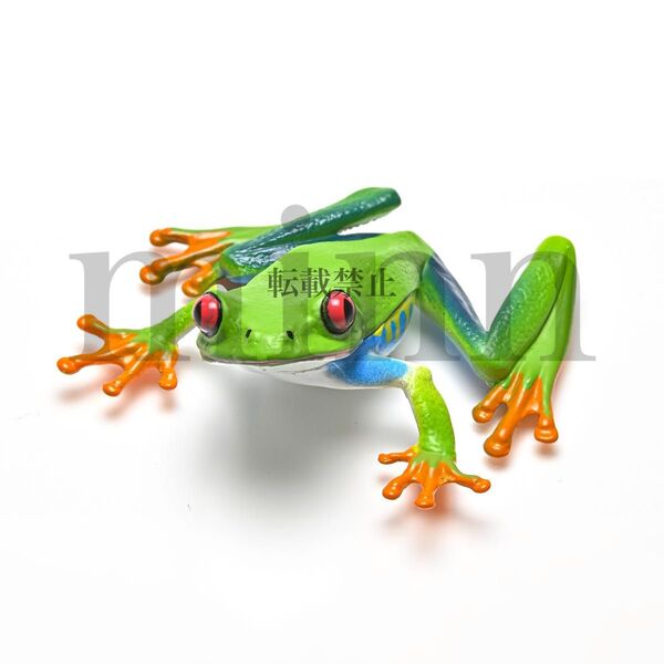 【未開封】NTC MONO+ ネイチャーテクニカラー アカメアマガエル マグネット カプセルトイ ガチャ