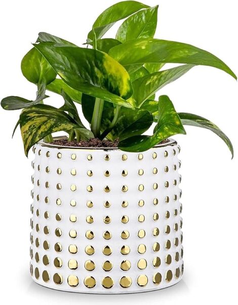 Villa Como 植木鉢 陶器鉢 プランター 4.5号 穴付きおしゃれ インテリア 部屋 オフィス 室内 飾り 白 ゴールド