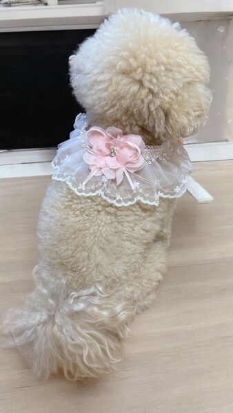 犬用 ペット用 新品未使用 フラワーアクセサリー チョーカー ピンク