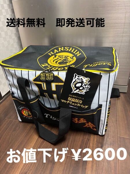 2025年阪神タイガース 最新保温保冷リュックバッグ ユニホーム柄