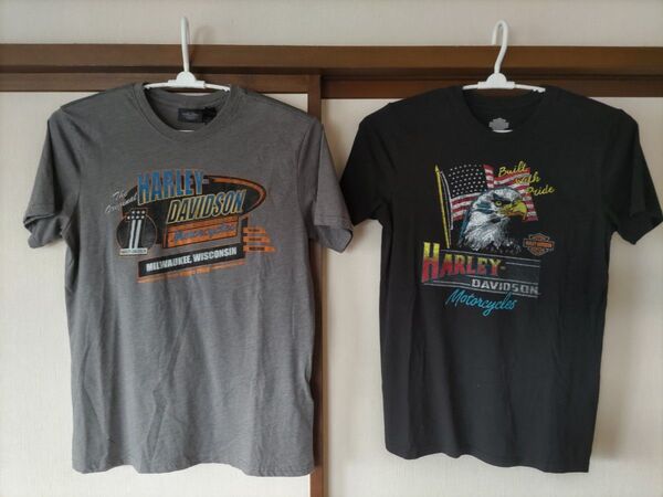ハーレーダビッドソン TシャツL2枚
