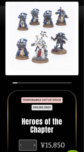 Space Marines Heroes of the chapter