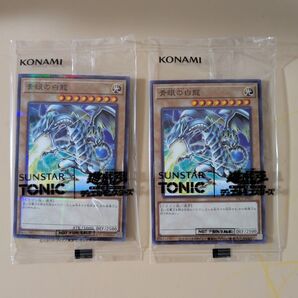 遊戯王×SUNSTAR TONIC コラボ 青眼の白龍 限定コラボカード 2枚