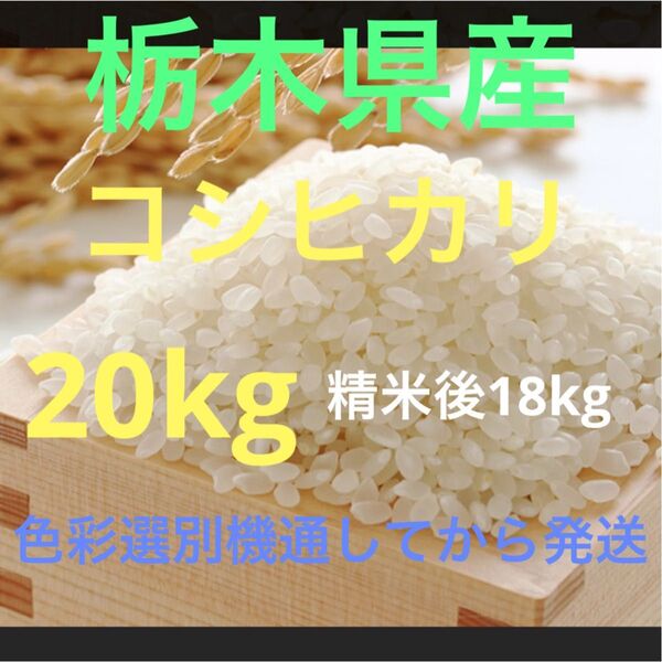 栃木県産令和6年新米コシヒカリ白米18kg