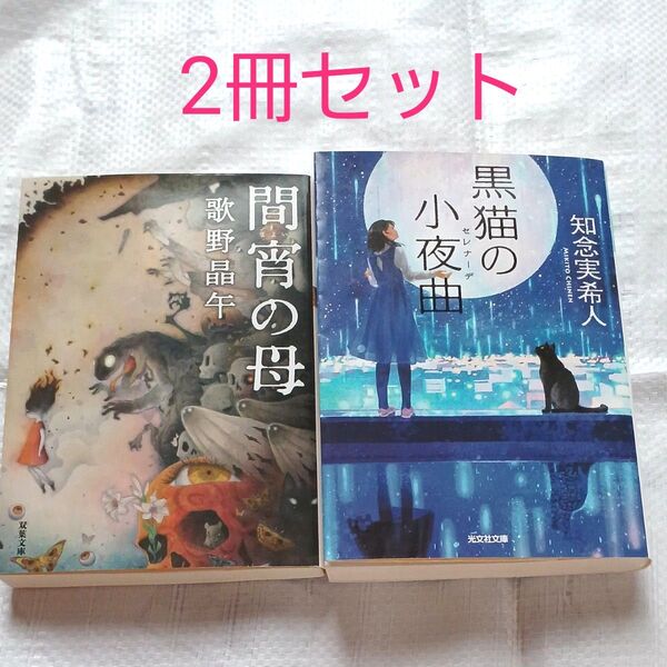 間宵の母 歌野晶午 双葉文庫 黒猫の小夜曲 知念実希人 光文社文庫 2冊セット