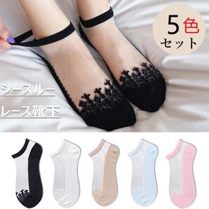 シースルー素材のソックス 5色セット