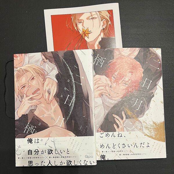 二日月に栖む 上下 アニメイト限定セット アニメイト 小冊子 特典 新刊 BLコミック ミギノヤギ