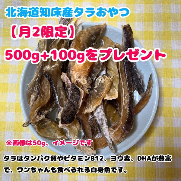 大量購入セール【北海道知床産無添加】鱈ジャーキー500g+100g 犬用おやつ