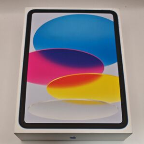 11インチ iPad Wi-Fi 256GB ブルー 2025年モデル 11世代 Apple A16