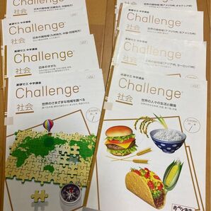 ベネッセ チャレンジ 社会