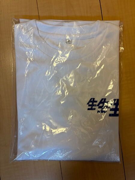 生生生 Tシャツ サントリー 新品未開封