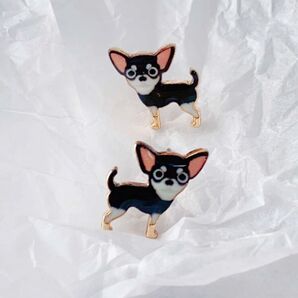 チワワ ブラックタン 犬 わんこ ピアス