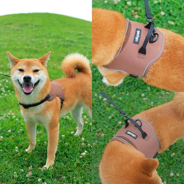 【未使用】AIBPET 犬 ハーネス 耐久性 小型犬 中型犬 訓練 軽量 小型犬 通気性 大型犬 使い易く (brown, M)