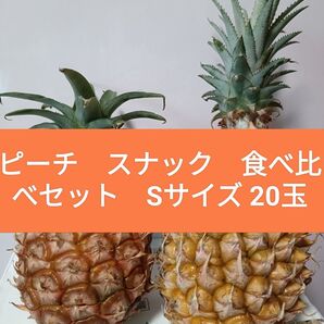 石垣島産 スナックパイン ピーチパイン 小玉 食べ比べセット 各10玉 計20玉入り!