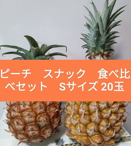 石垣島産 ピーチパイン スナックパイン 各10玉 食べ比べセット 20玉入り 産地直送