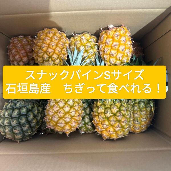 石垣島産 スナックパイン 小玉 20玉入り 産地直送!