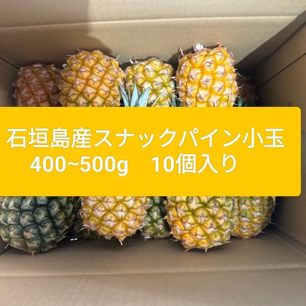 石垣島産 スナックパイン 小玉 400から500グラム 10玉セット 産地直送!