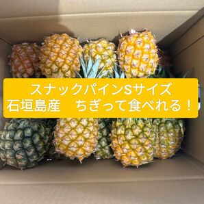 石垣島産 スナックパイン 小玉 Sサイズ 400グラムから500g 20玉入り 産地直送!