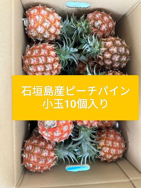 石垣島産 ピーチパイン 小玉 10個入り 産地直送!