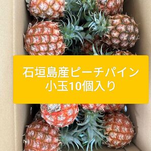 石垣島産 ピーチパイン 小玉 400グラムから500グラム 10玉入り 産地直送!