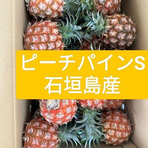 石垣島産 ピーチパイン 20玉入り Sサイズ 400グラムから500グラム 小玉 産地直送!