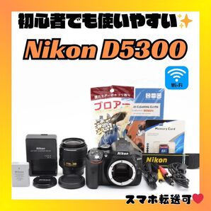 初心者さんオススメ Nikon ニコン D5300 Wi-Fi対応