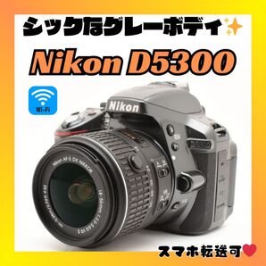 シックなグレーボディ Nikon ニコン D5300 Wi-Fi機能