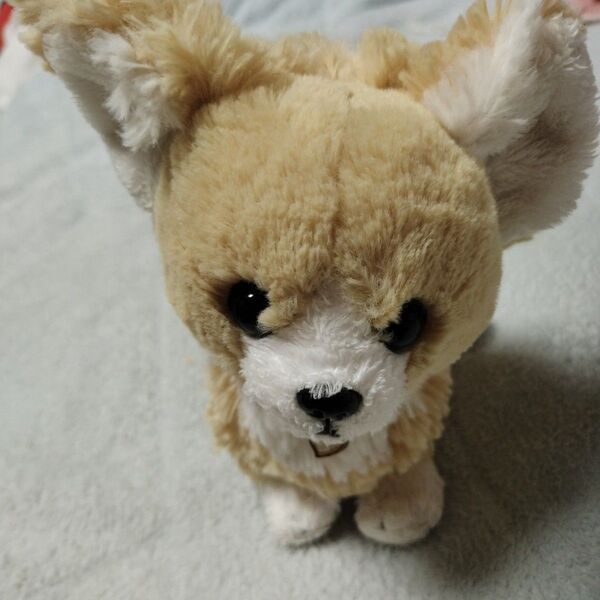 希少 チワワ ぬいぐるみ 犬 サンレモン