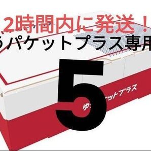 ゆうパケットプラス専用箱5箱 ラッピング 匿名発送 メルカリ 資材 梱包材 段ボール 箱 ラクマ 郵便局 発送用