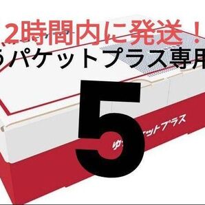 ゆうパケットプラス専用箱5箱 ラッピング 匿名発送 メルカリ 資材 梱包材 段ボール 箱 ラクマ 郵便局 発送用