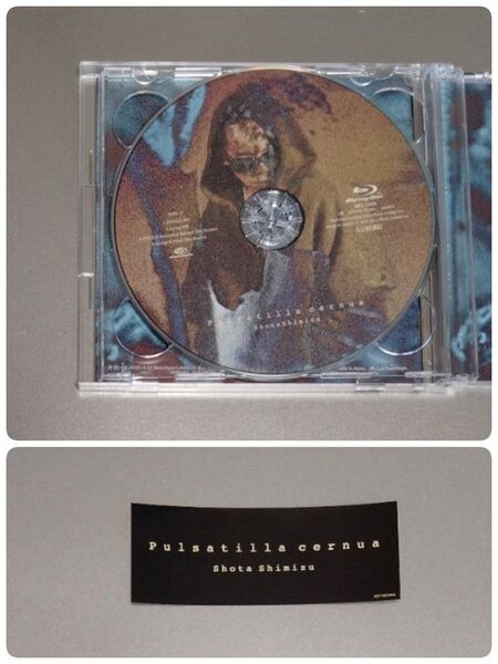 清水翔太 Pulsatilla cernua(完全生産限定盤)Blu-ray+ステッカーのみ