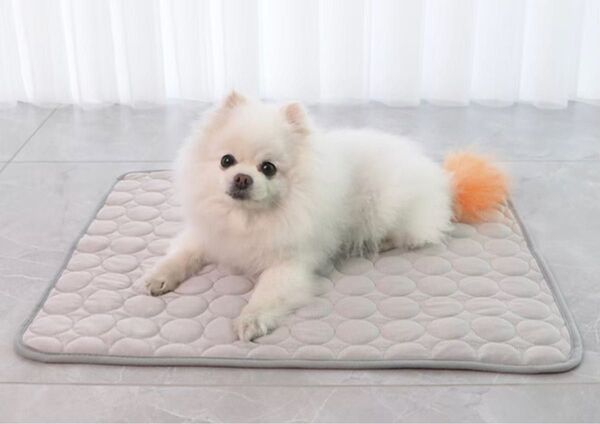 冷感マット /ペット ★ クールマット 涼しい 犬 猫 夏用 ペットマット 暑さ対策 ひんやり接触冷感 洗濯可