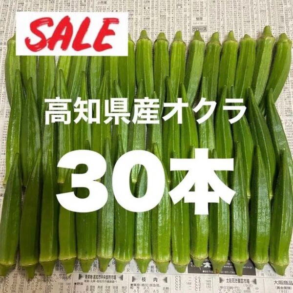 30本 高知県産 オクラ 野菜 即購入OK 産地直送 yK