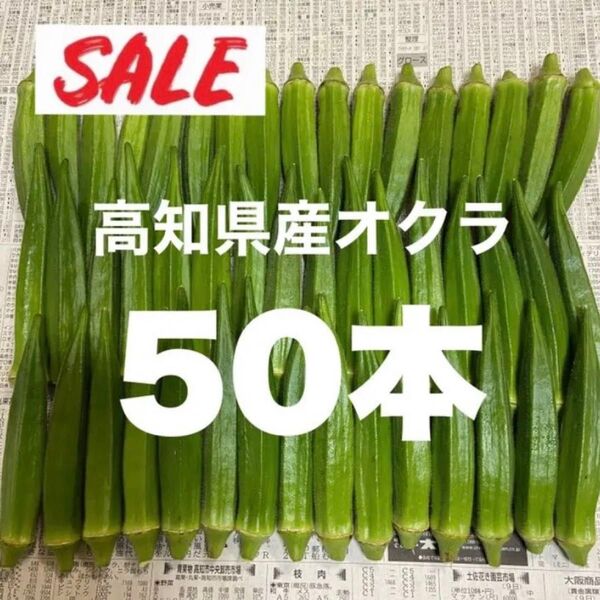 50本 高知県産 野菜 オクラ即購入OK 産地直送 wqG