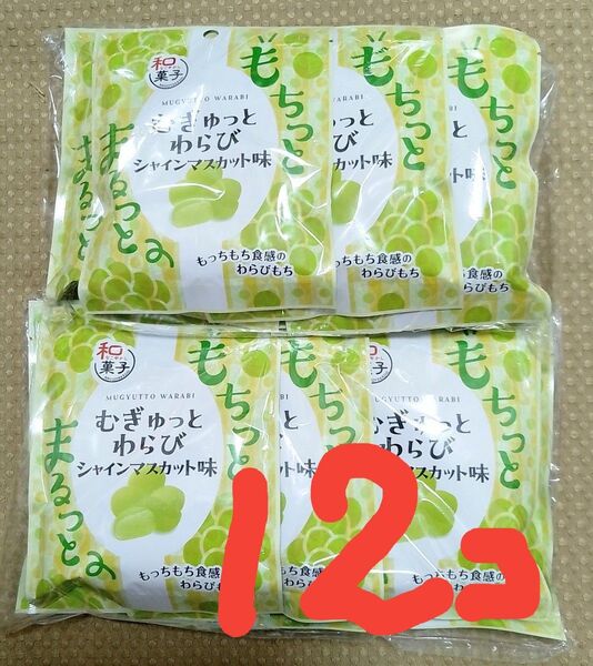 むぎゅっとわらび シャインマスカット味 ノースカラーズ 12個セットで
