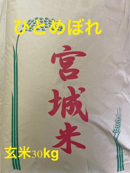 宮城県産 ひとめぼれ 6年産 玄米30k g 送料無料 未検査米