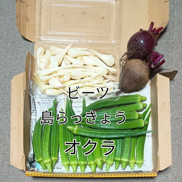 野菜詰め合わせ(島らっきょう、オクラ、ビーツ)