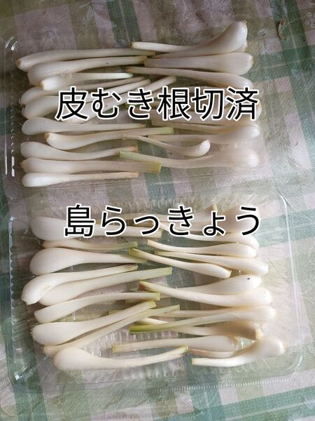 島らっきょう200グラム(皮むき、根切済)