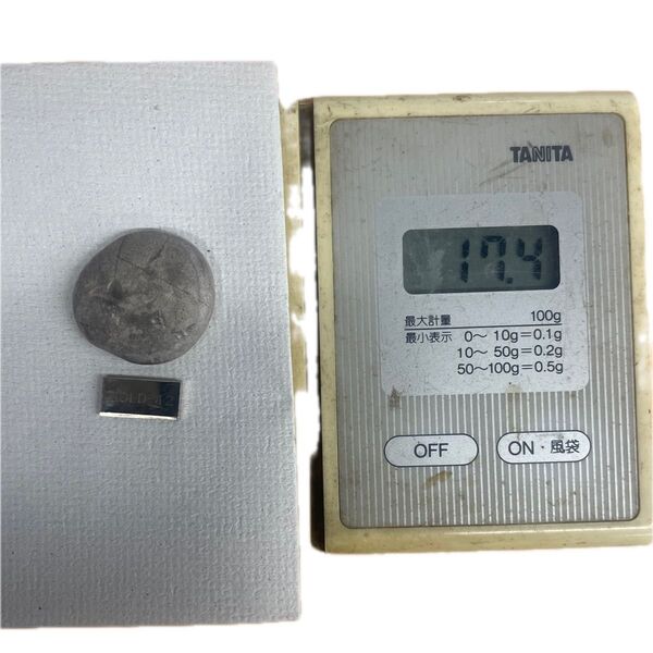 金パラ ボタン 17.4g