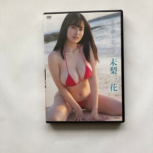 未来一花 もう撮らないで DVD