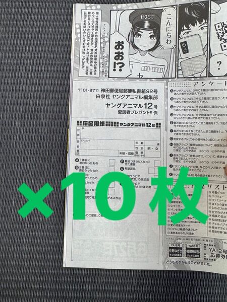 ヤングアニマル12号 榎原依耶 佐野なぎさ 図書カード応募アンケート用紙10枚