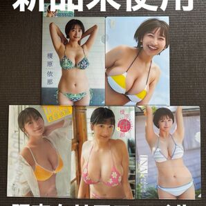 【新品】榎原依那 限定クリアファイル5点セット